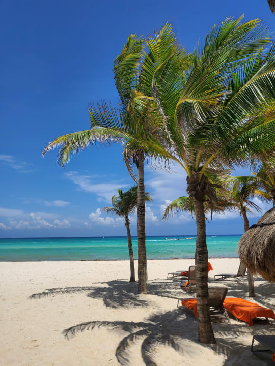 Strand Viva Maya by Wyndham - All Inclusive Resort