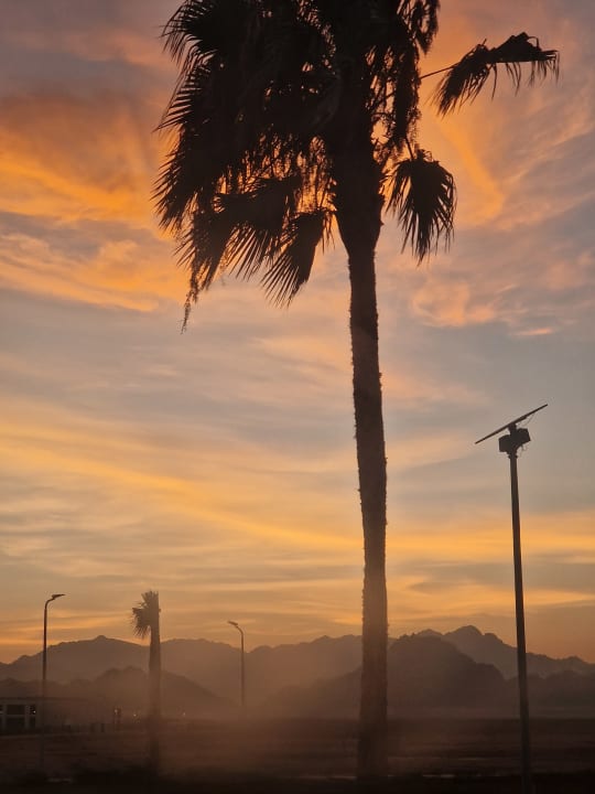 Ausblick Sharm Plaza