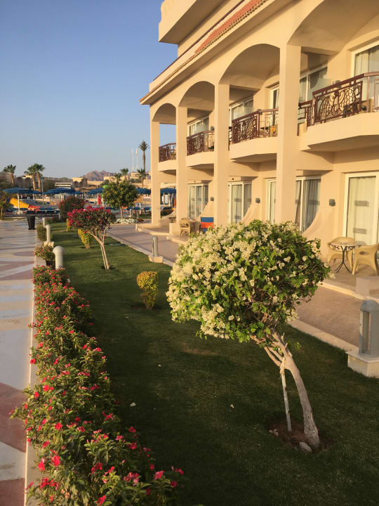 Garten Pickalbatros Royal Moderna Resort-Sharm El Sheikh