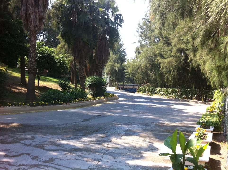Einfahrt Club Sidelya Hotel