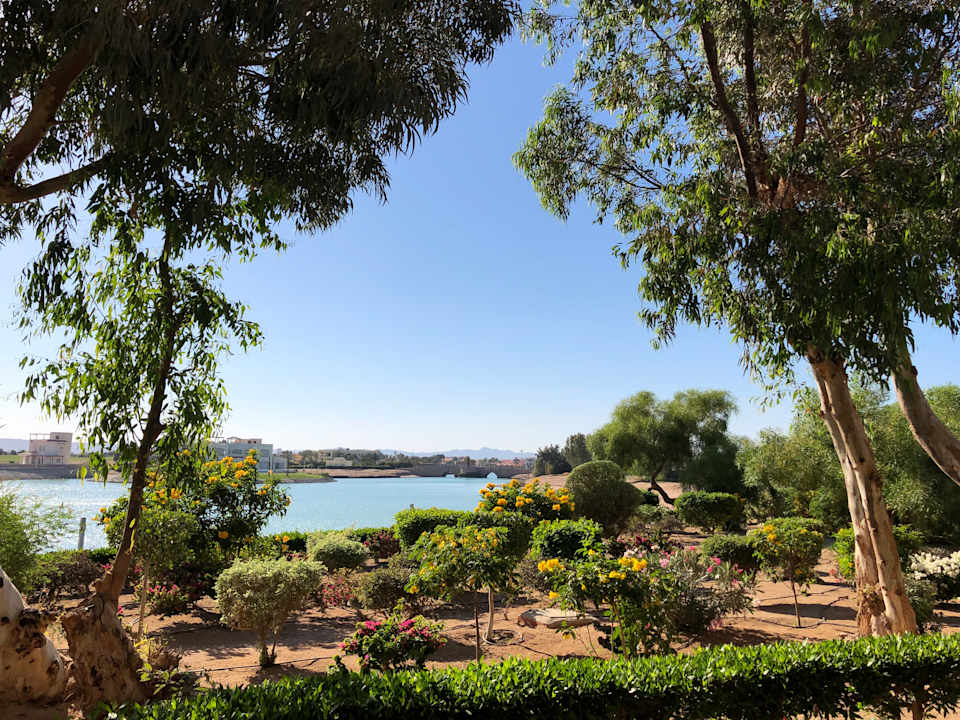 Ausblick Mövenpick Resort & Spa El Gouna
