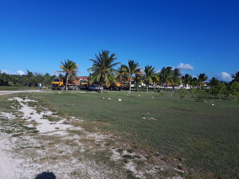 Gartenanlage Hotel Playa Pesquero