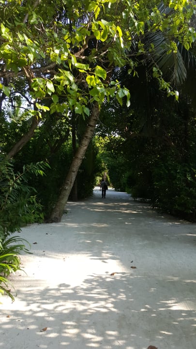 Weg Summer Island Maldives