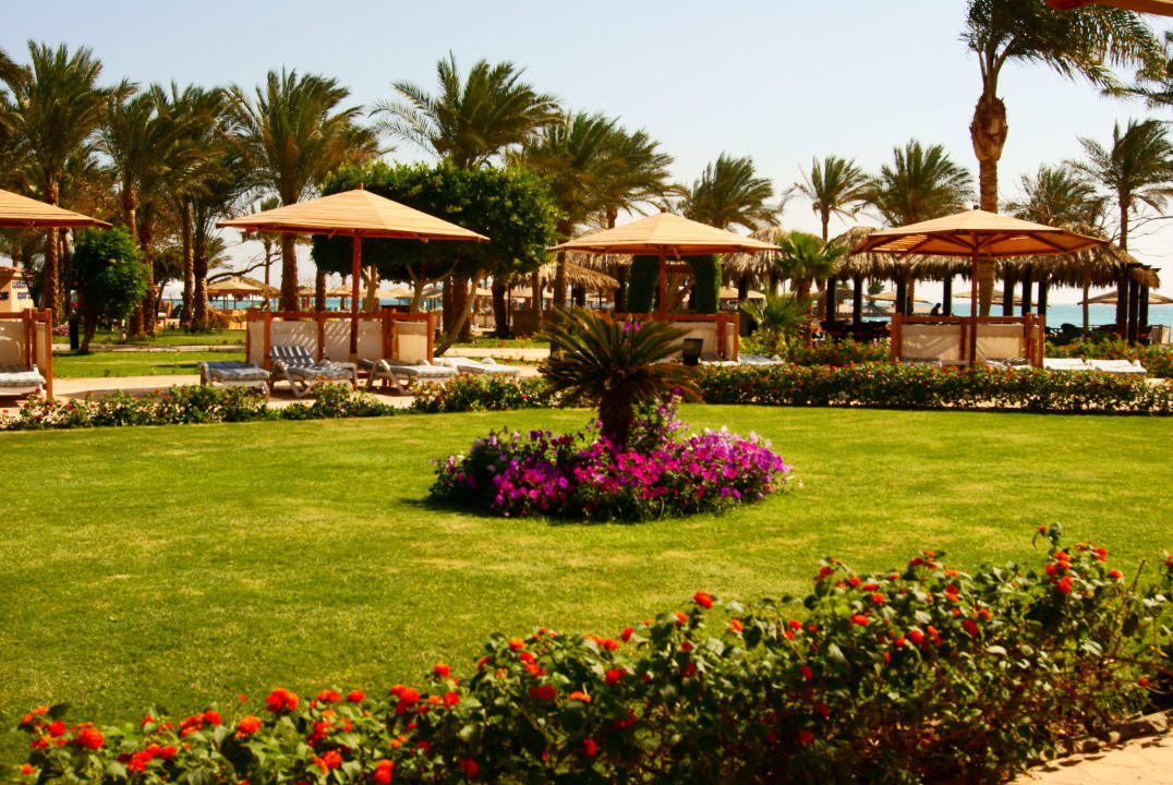 Flower Continental Hotel Hurghada