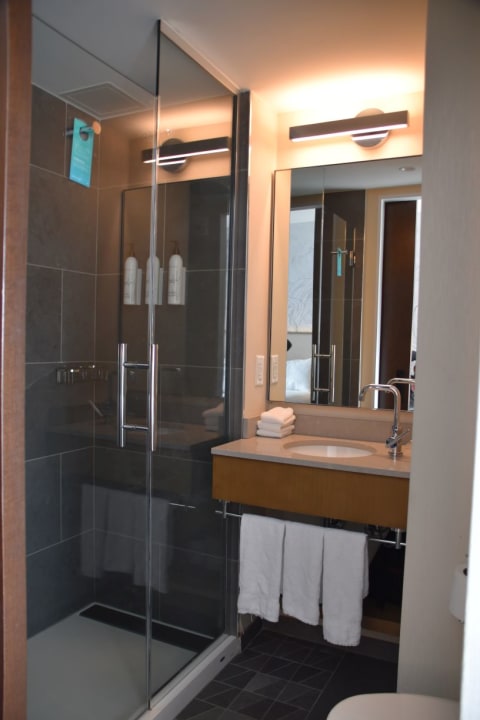 Zimmer SpringHill Suites by Marriott New York Manhattan Chelsea