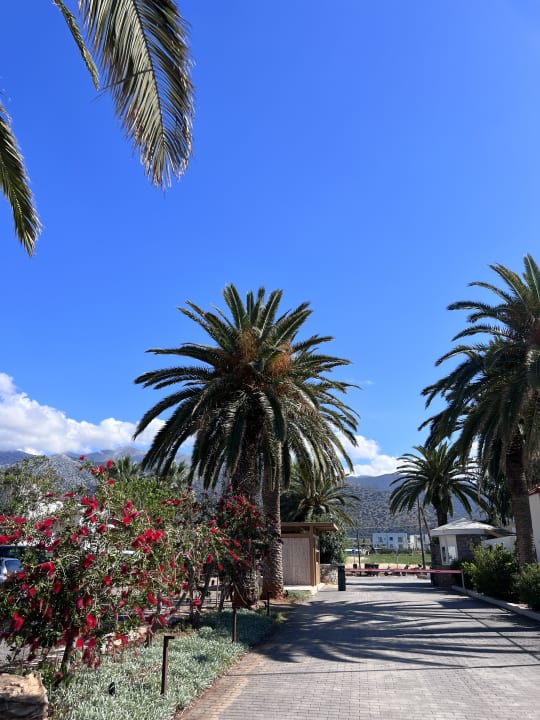 Gartenanlage Phãea Cretan Malia