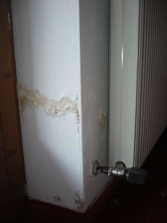 Feuchtigkeitsschaden Hotel zum Holzknecht am See