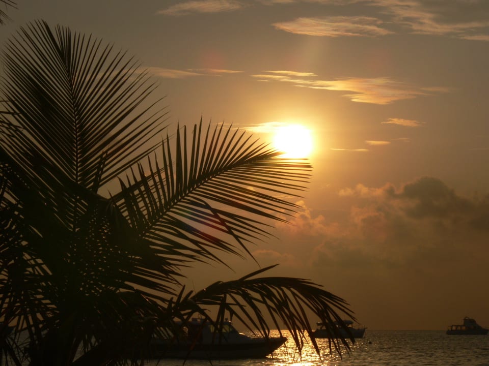 Meeru Island Resort Meeru Maldives Resort Island