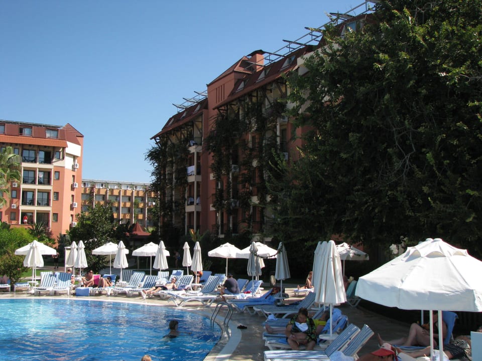 Hotel i basen Palmeras Beach Hotel