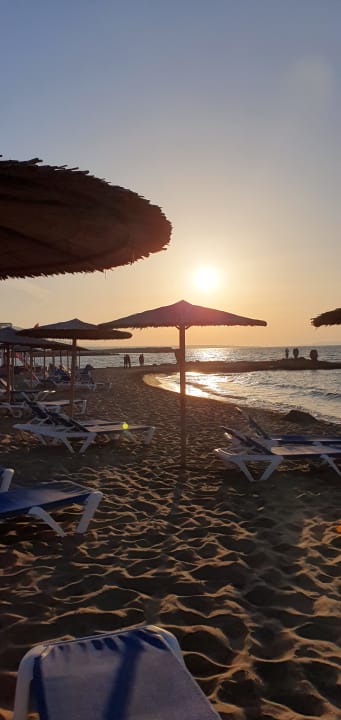 Strand allsun Hotel Carolina Mare