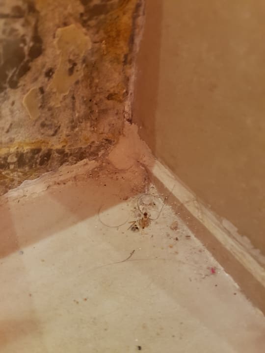 Zimmer Hotel Mercure Hurghada