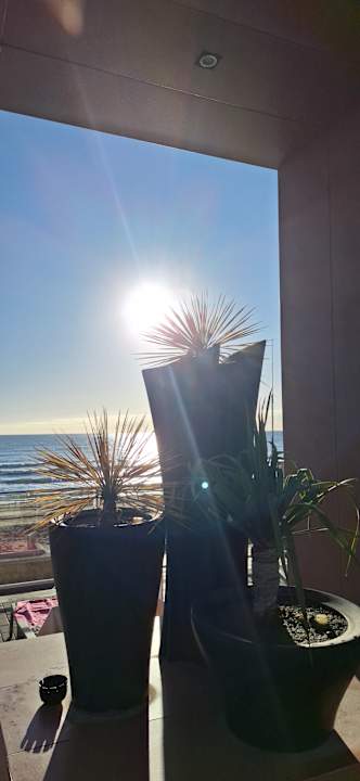 Strand Hotel Riu Nautilus - Adults only