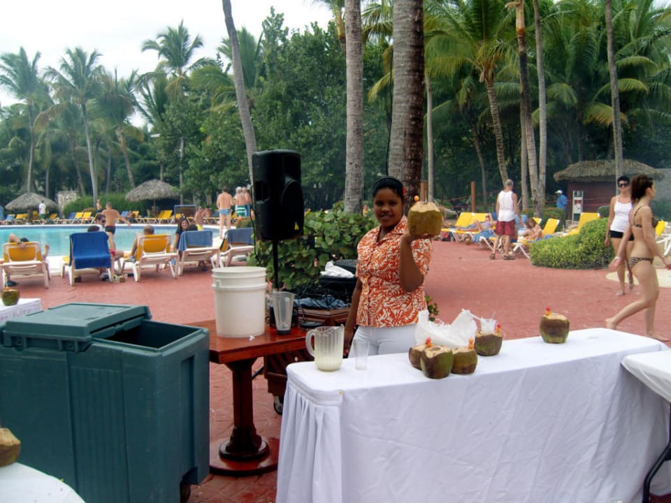 Kokosnüsse mit Likör Catalonia Punta Cana - All Inclusive