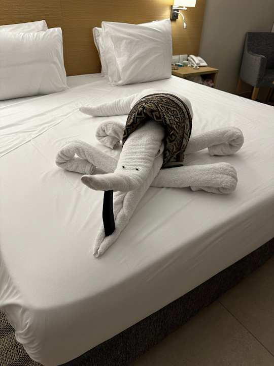 Zimmer JAZ Elite Asteria