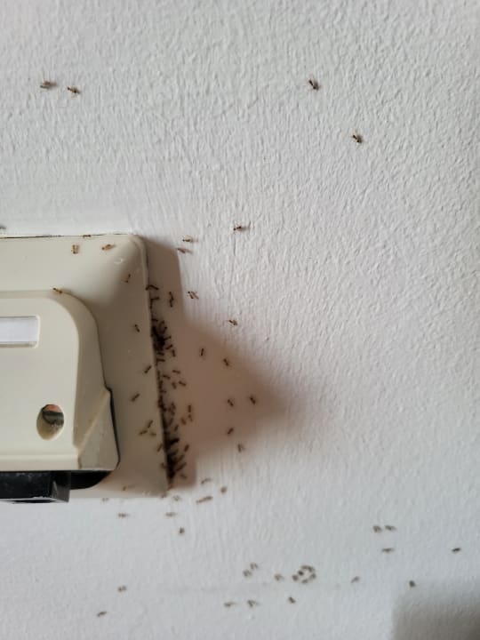 Zimmer Fuerte Costa Luz (Fuerte Conil-Resort)