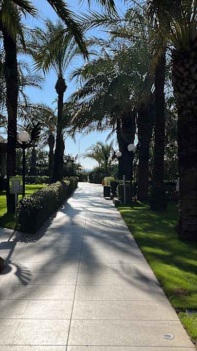 Außenansicht Royal Wings Hotel