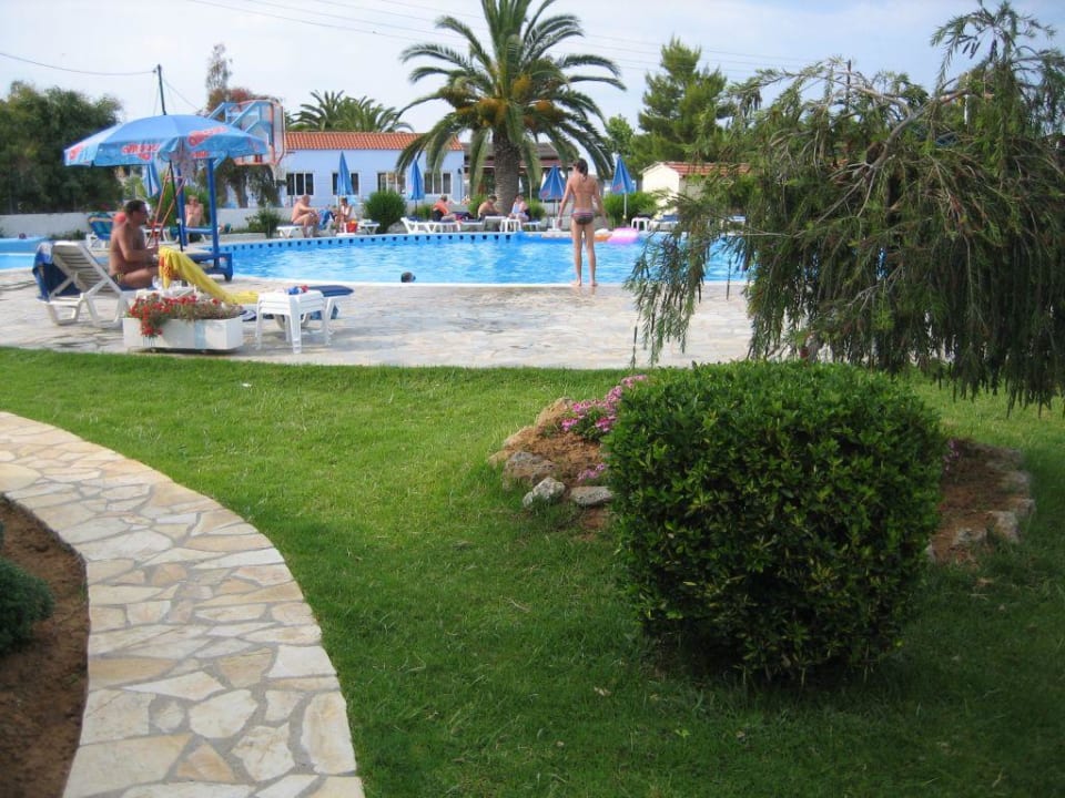 Garten / Pool Hotel Albatros