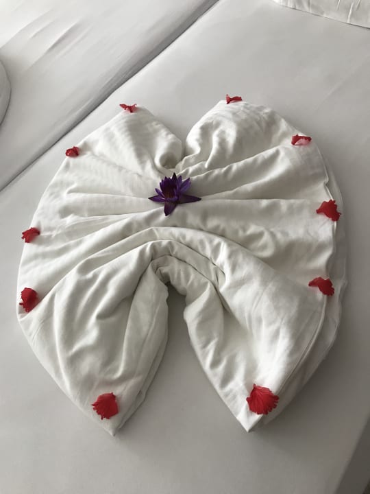 Zimmer Hotel Lanka Princess Ayurveda