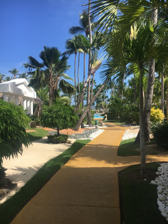 Gartenanlage Meliá Caribe Beach Resort-All Inclusive