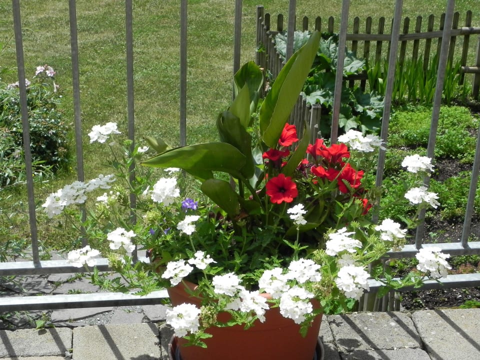 Blumenpracht Landhaus Knura