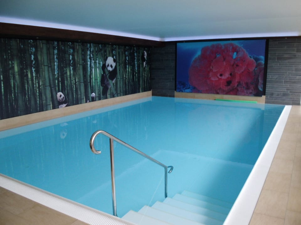 Schwimmbad Genuss- & Familienhotel Bären am See