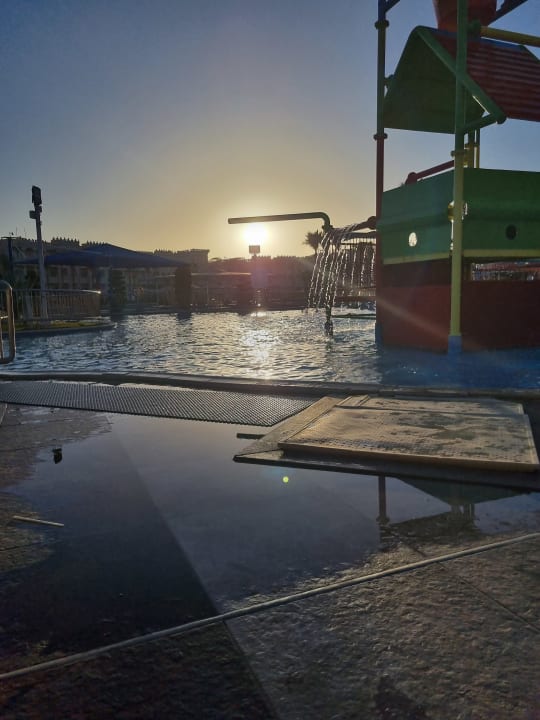 Pool Pickalbatros Palace Resort