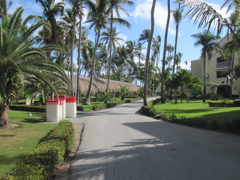 Gartenanlage Hotel Grand Palladium Palace Resort, Spa & Casino