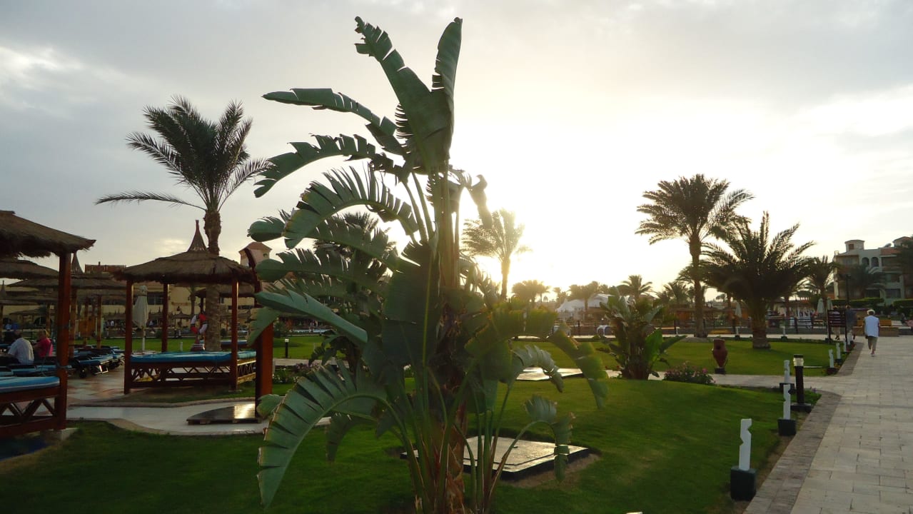 Gartenanlage Pickalbatros Dana Beach Resort - Hurghada