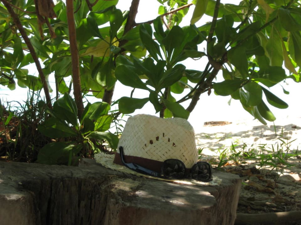 Schatten Hotel Thapwarin Resort