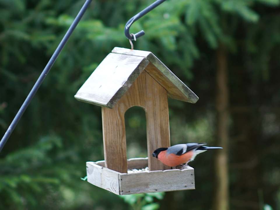 Sonstiges Bed & Breakfast Winterberg