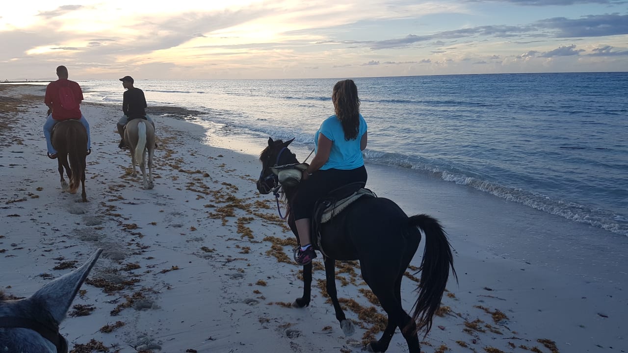 Sport & Freizeit Brisas Guardalavaca Hotel & Villas