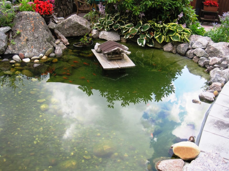 Gartenanlage Hotel Pension Obergfell