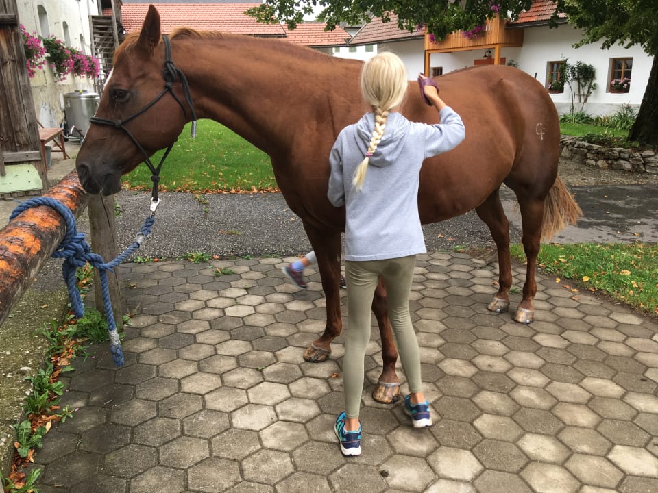 Sport & Freizeit Rutarhof - Urlaub am Bauernhof