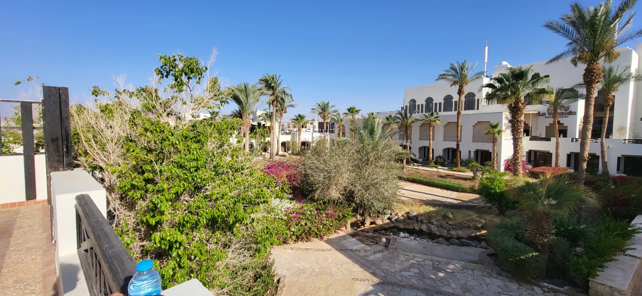Gartenanlage Sharm Plaza