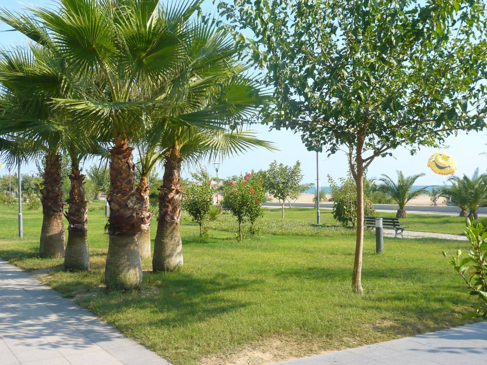 Weg um Strand Hane Family Resort