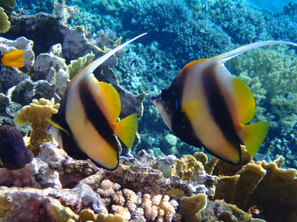 Strand Three Corners Equinox Beach Resort