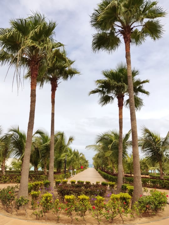 Gartenanlage Hotel Riu Palace Boavista