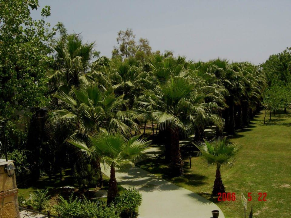Gartenanlage Hotel Gardenia Beach