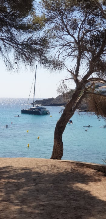 Ausblick Iberostar Waves Pinos Park