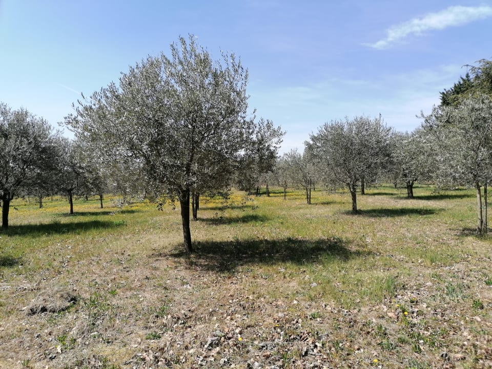Gartenanlage Agriturismo Colombare Teboi
