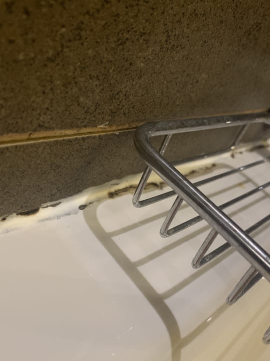 Zimmer Atlantica Plimmiri