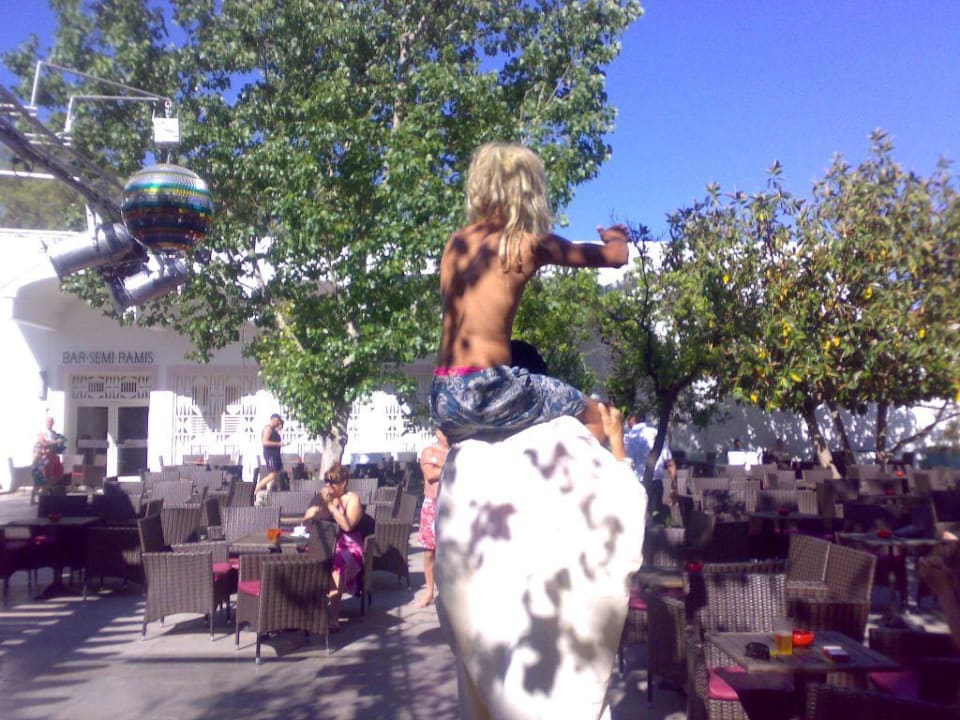 Auftritt der Animateure The Orangers Beach Resort and Bungalows