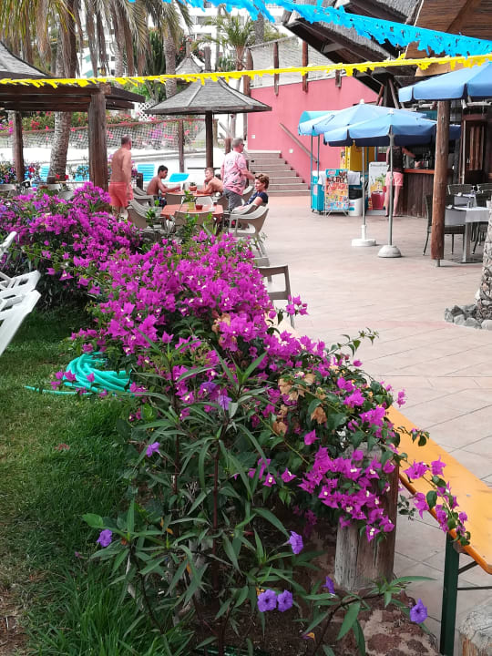 Gastro HL Miraflor Suites Hotel