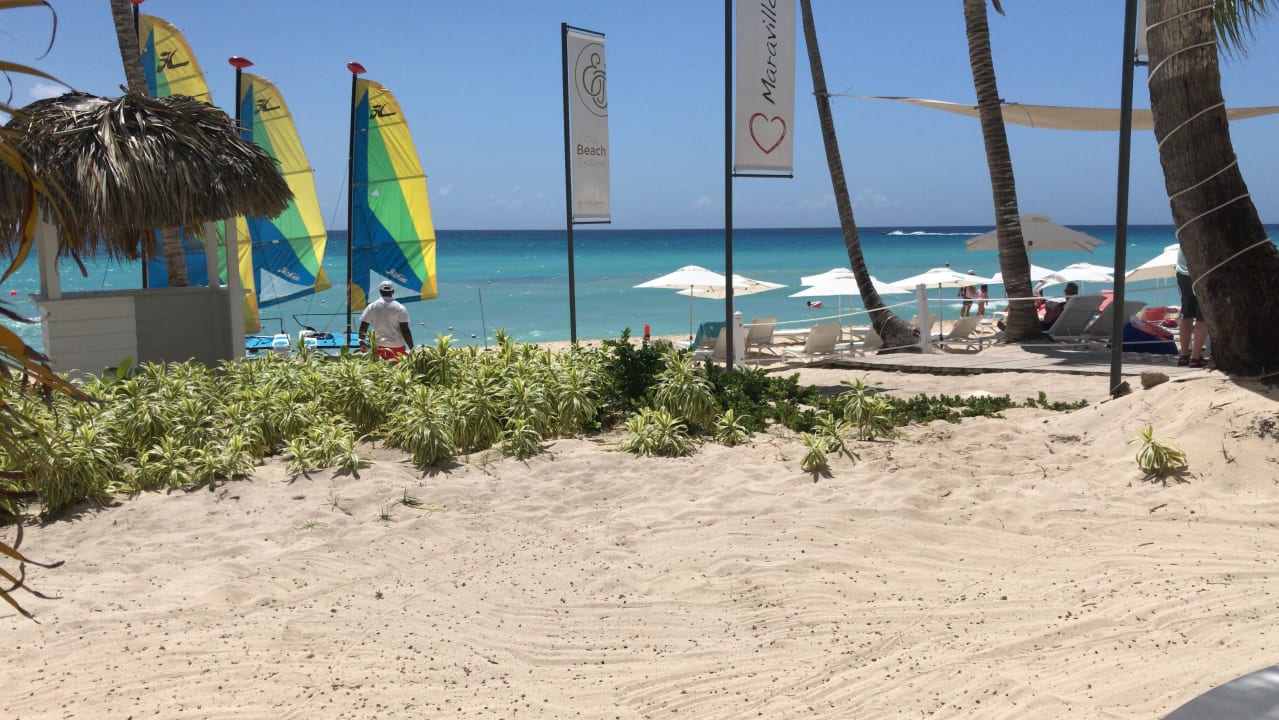 Strand Catalonia Royal La Romana - Adults only