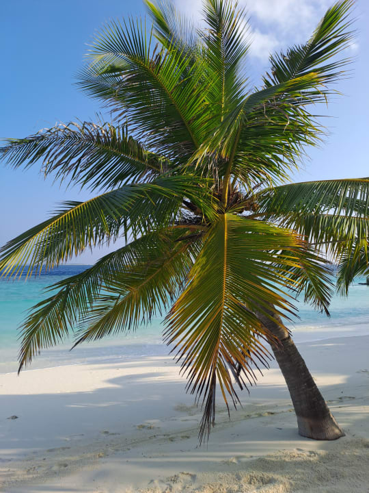 Strand Adaaran Select Meedhupparu Island Resort - Premium All Inclusive