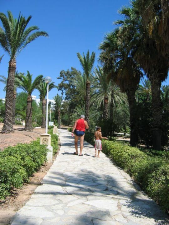 Gartenanlage Hotel Marhaba Club