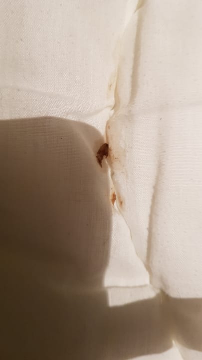 Zimmer Center Parcs Park Nordseeküste