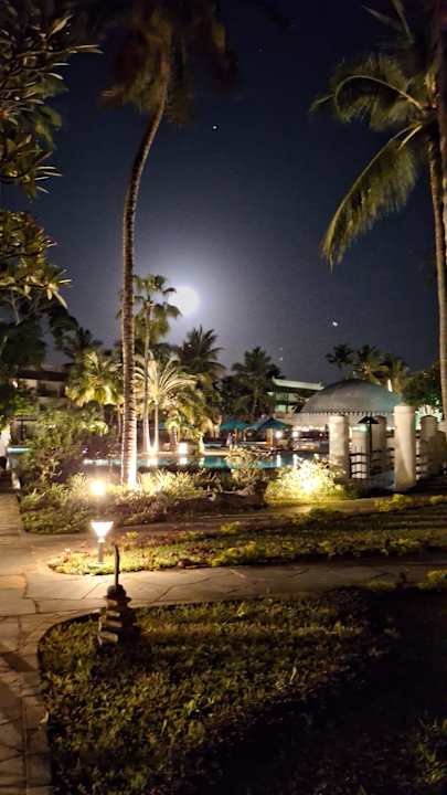 Gartenanlage Hotel Southern Palms Beach Resort