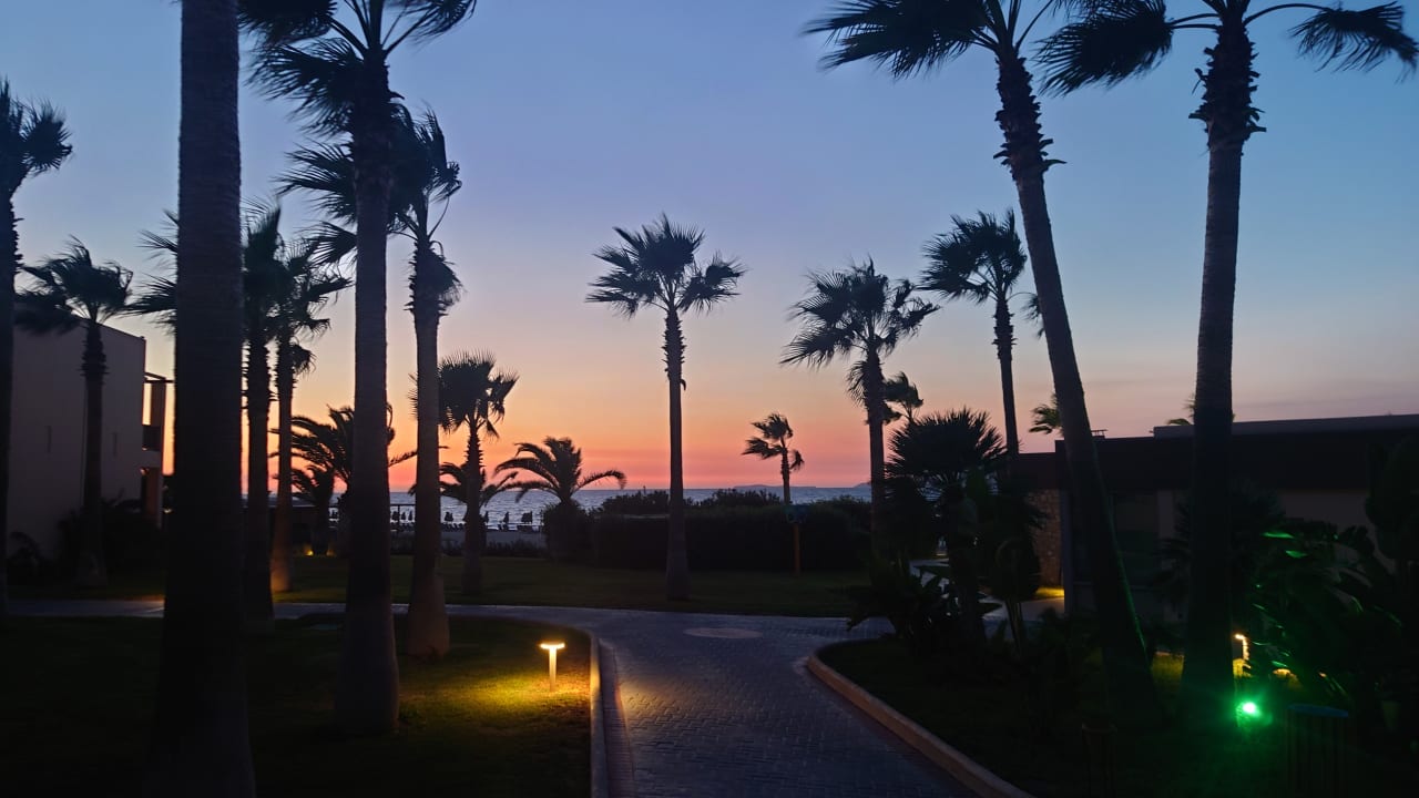 Gartenanlage Hotel Horizon Beach Resort