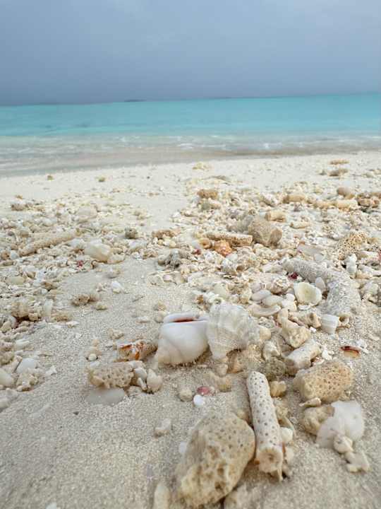 Strand Heritance Aarah